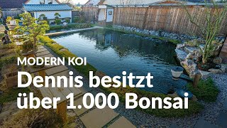 Dennis 36000 Liter Koiteich im Japangarten mit coolen Eigenzuchten  Modern Koi Blog 6449 [upl. by Annaicul]