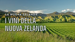 I vini della Nuova Zelanda  Tannico Flying School [upl. by Antrim]