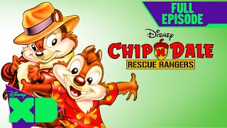 Chip n Dale Rescue Rangers First Full Episode  Under the Seas  S1 E1  disneyxd [upl. by Atimad181]