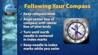 Compass Navigation [upl. by Aramit]