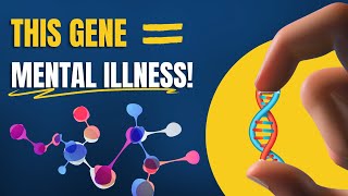 Genetics and Mental Health The MTHFR Gene [upl. by Oloapnaig75]