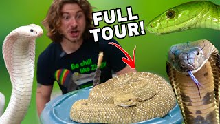 Full VENOMOUS SNAKE Room Tour [upl. by Tray]