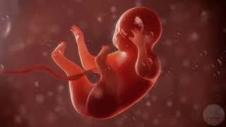 🎵🎵🎵 Pregnancy music for unborn baby ♥ Brain development ♥ Deep water sound  Nature 🎵🎵🎵 [upl. by Oryaj12]