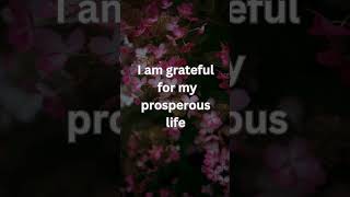 Abundance Affirmations EXPLODED My Wealth Overnight [upl. by Zeba672]