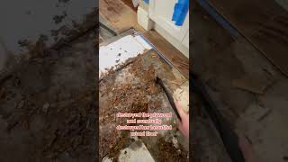 Laminate flooring destroyed by water and then repaired flooring [upl. by Annuaerb600]