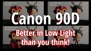 Canon 90D  Low Light and High ISO Speed Noise Reduction Video Testing [upl. by Jillana]