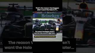 This might be why Max Verstappen didnt want the Halo in Formula 1 [upl. by Okimik580]