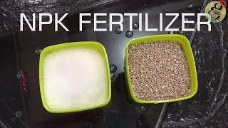 NPK Fertilizer for Plant Application in Gardening How Much and How to Use  English [upl. by Berey]