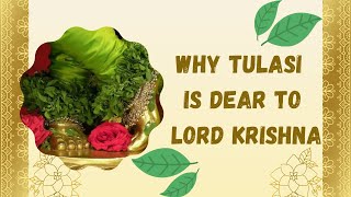 Why Tulasi is very dear to Lord Krishna [upl. by Einre]