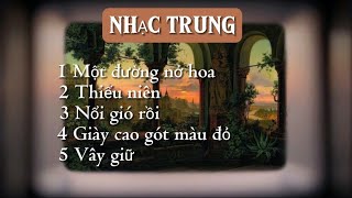 Nhạc trung giúp cậu thư giãn  một đường nở hoa thiếu niên [upl. by Ahsinrat468]