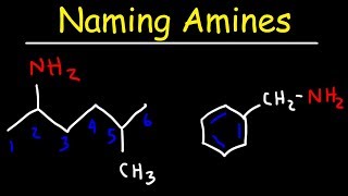 Naming Amines  IUPAC Nomenclature amp Common Names [upl. by Jessen]