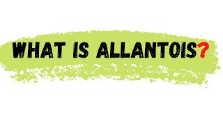 Allantois  what is allantois  allantois defination [upl. by Atiekahs167]