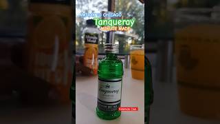 Amtrak trip to Chicago from richmondva Tanqueray liqour gin juicesponsor [upl. by Kama249]