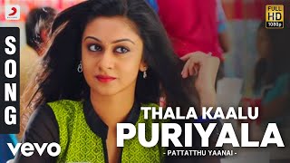 Pattatthu Yaanai  Thala Kaalu Puriyala Song  SS Thaman [upl. by Berenice]