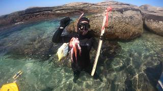 PESCA SUB  Caça do raso ao fundo com muita vida spearfishing mergulho [upl. by Lleznov251]