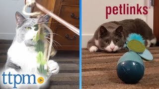 Petlinks Dizzy Thing and Wild Waver Cat Toys from Worldwise [upl. by Kissie]