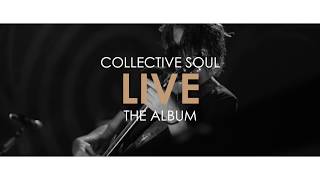 Collective Soul  LIVE Album Out Now [upl. by Ynaoj181]