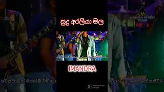 සුදු අරලියා මල  Sudu araliya mala Ajith muthukumarana song song live [upl. by Gretna]