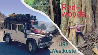 Dankbarkeit an der Westküste amp den Redwoods  September 23  S4F4  USA  usa travel defender [upl. by Zzahc]