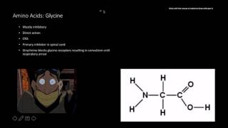 Neurotransmitters amino acids primary and peptides secondary [upl. by Ylahtan775]