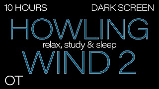 HOWLING WIND Sounds for Sleeping 2  Relax Study  BLACK SCREEN Real Storm Sounds SLEEP SOUNDS [upl. by Eicirtap415]