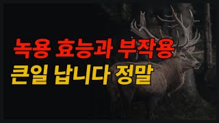 녹용효능과 부작용 큰일 납니다 정말 [upl. by Aicelef7]