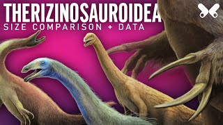 THERIZINOSAURIA Dinosaurs size comparison and data [upl. by Nosrej487]