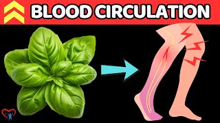 TOP 7 Herbs To Say GoodBye Poor Blood Circulation In Legs  Vitality Solutions [upl. by Ikkin]