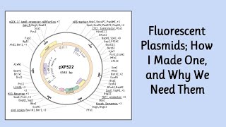 Editing A Plasmid  Synthetic Biology [upl. by Ened]