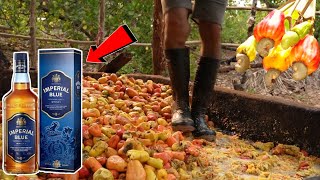 देखिए WINE कैसे बनती है  Traditional Wine Making Process  Cashew Liquor India [upl. by Novled]