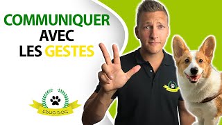 Comment rendre son chien obéissant sans avoir besoin de parler [upl. by Icul]