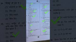 PSTET Paper 2 Punjabi Answer Key  pstet2024 answerkey punjabianswerkey [upl. by Oivalf]