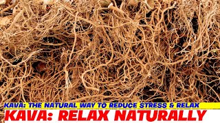 Kava The Natural Way to Reduce Stress amp Relax [upl. by Leotie]