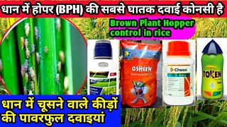 How to Control BPH in Rice  धान में होपर की कौनसी दवाई लगायेDupont PexalonSyngenta ChessPi OShen [upl. by Elamor]