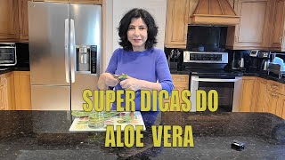 TUDO O QUE VOCÊ PRECISA SABER SOBRE ALOE VERA [upl. by Akeit]