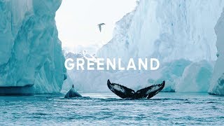 EXPLORE GREENLAND  Whale watching in the Disko Bay [upl. by Odlareg]