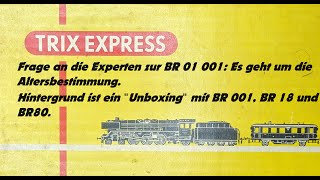 Trix Express  Frage an die Experten zur BR 01 und quotUnboxingquot im Mai 2024 Überraschung [upl. by Aynwat]