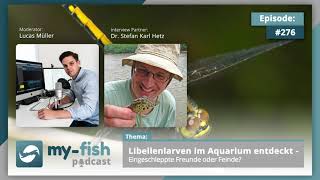 myfishorg  Libellenlarven im Aquarium entdeckt  Freunde oder Feinde Dr Stefan Karl Hetz [upl. by Congdon]