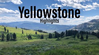 Yellowstone National Park – Black CanyonBuffalo PlateauSlough Creek  4day Backpacking Highlights [upl. by Aenneea]