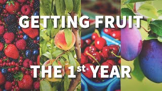 How to Get Fruit the 1st Year  FastGrowingTreescom [upl. by Laws]