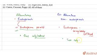 Albuminous seeds are produced in [upl. by Eltrym]