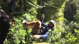 Rotorua Forest Zipline Canopy Tours in New Zealand [upl. by Gertie]