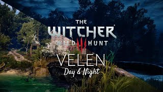 Witcher 3  Velen Day and Night  Music amp Ambience [upl. by Rehsa62]