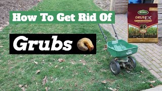 Grub Control  How To Get Rid Of Grubs Early in the Spring [upl. by Anauqaj604]