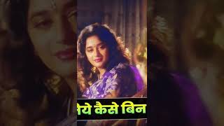 Jiye to jiye kaise Bin Aapke bollywood oldiagold beautifulsong youtube music shorts [upl. by Adriell122]