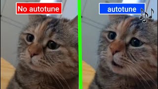 Sad Cat Meowing Original vs Autotune edit [upl. by Balas]