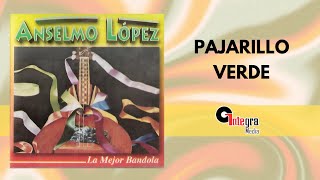 Pajarillo Verde  Anselmo Lopez  Video Lyric [upl. by Eltsyrk100]