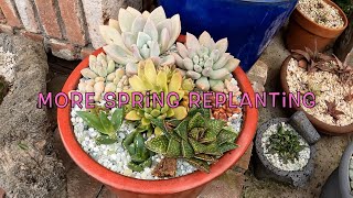 Spring replanting [upl. by Kcirred]