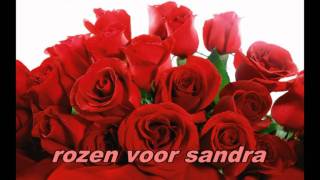 rozen voor sandrampg [upl. by Huebner]