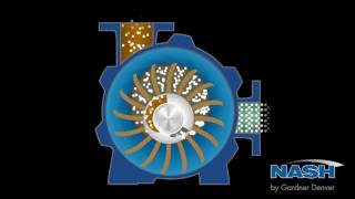 NASH Liquid Ring Vacuum Pump  How It Works [upl. by Ynohtn]